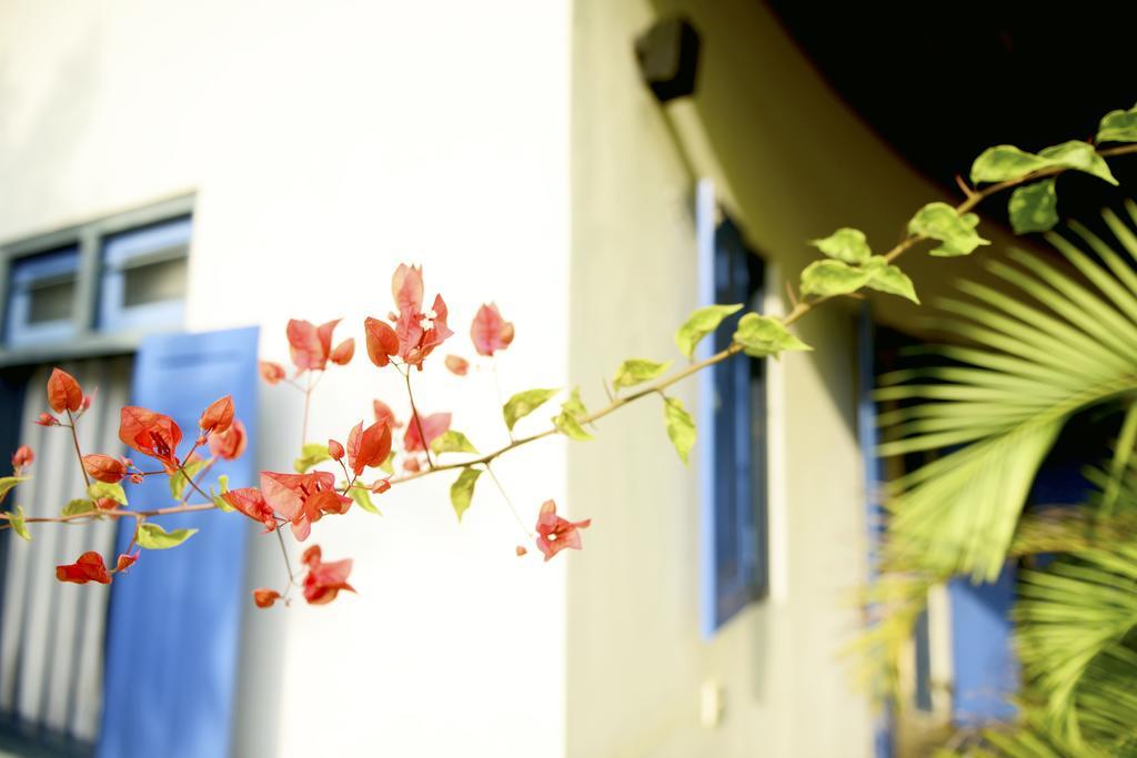 Palagama Beach Etalai Экстерьер фото